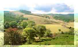 Pays des Cvennes